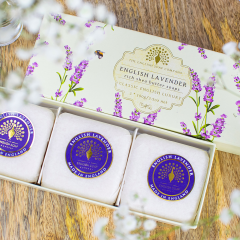 The English Soap Company Lavender Box 3er
