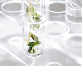 Sisley Phyto Kosmetik Sisley Phyto Kosmetik